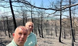 Mimarlar Odası'ndan Orman Yangınları Açıklaması: "Yanan Alanlar Ranta Teslim Edilemez!"