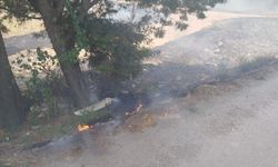 İzmir-Bursa Çevreyolunda Korkutan Dakikalar! Alevler Yükseldi, İtfaiye Ekipleri Alarma Geçti