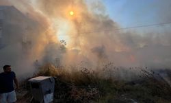 Ayvalık’ta Alevler Yükseldi! Altınova Mahallesi’nde Yangın Alarmı: İtfaiye Ekipleri Alevlere Hızla Müdahale Etti!