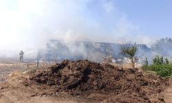 Balıkesir Gönen’de Korkutan Yangın! 90 Ton Saman Alev Alev Yandı, Ekipler ve Köylüler Seferber Oldu!