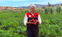 Balıkesir’de 17 Projeye Dev Destek! Mustafa Canbey Müjdeyi Verdi! 338,7 Milyon TL’lik Yatırım Yapılacak