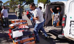 Ayvalık'ta mama seferberliği! 1 ton mama topladılar