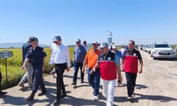 Manyas’ta Çeltik Üretimi İçin Tarla Günü Buluşması