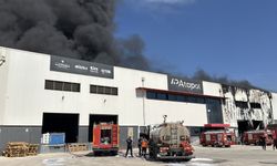 Mersin'in Akdeniz İlçesindeki Kimya Fabrikasında Korkutan Yangın Çıktı: Ekipler Alevleri Söndürmek İçin Seferber Oldu!