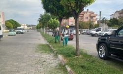 Bigadiç’te Çevre Mesaisi Sürüyor: Ekipler İlçenin Dört Bir Yanında Sahada!