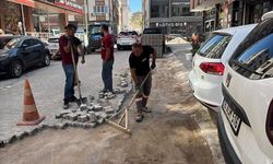 Edremit’te 3 Sokakta Yol Çalışması: Camivasat Mahallesi’nde Ekipler Sahaya Çıktı!