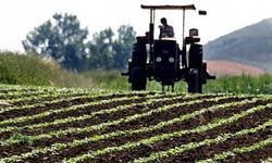 Çiftçilere Müjde! 2027 Yılı ÇKS Başvuruları Başladı: İşte Başvuru Tarihleri ve e-Devlet Ekranı!