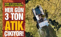 Gölde kirlilik alarmı! Atık ve yosunlardan göl görünmüyor...