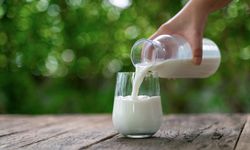 İçme Sütlerinde Yeni Dönem: Bakanlık Etiketlerdeki Kafa Karışıklığına Son Verdi!