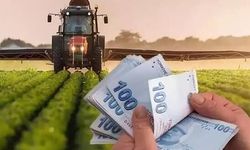 Tarım ÜFE Ağustosta Geriledi Ama Yıllık Artış Sürüyor! Sebze Fiyatlarındaki Yüzde 70’lik Artış Dikkat Çekti