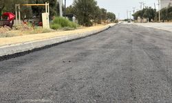Edremit'te Tuzcumurat Mahallesi'nde Asfalt Çalışması Başladı!