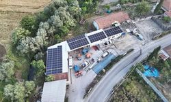 Balıkesir'de Güneş Enerjisiyle Üretim Başladı! Atköy Kooperatifinin Elektrik Gideri Yüzde 60 Azaldı