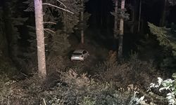 Bolu'da Yayla Yolunda Feci Kaza! Cip 100 Metrelik Uçuruma Yuvarlandı: 4 Yaralı! İşte Olay Yerinden İlk Detaylar!