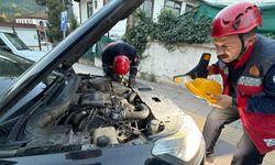 Sakarya’da Otomobilin Motoruna Sıkışan Yavru Kedi Kurtarıldı: İtfaiye Ekipleri Harekete Geçti, Annesine Kavuştu!