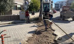 Edremit'te Yollar Yenileniyor! Altınoluk'ta Kilit Taş Ve Yol Onarım Mesaisi Başladı: Tüm Detaylar!