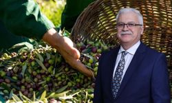 Burhaniye Zeytin ve Zeytinyağı Hasat Festivali Başlıyor! Konserler, Yarışmalar ve Söyleşiler