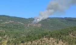 Bursa Büyükorhan Piribeyler’de Korkutan Orman Yangını! Ekipler Alevleri Söndürmek İçin Teyakkuzda!