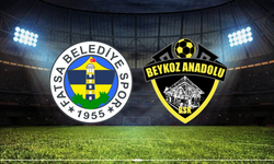 Fatsa Belediyespor - Beykoz Anadolu Maçı Ne Zaman? Saat Kaçta? Hangi Kanalda?