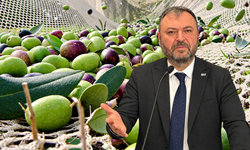 İYİ Partili Yörük'ten Zeytin Üreticisi İçin Çağrı: “Bereket Çiftçinin Cebine Yansımıyor”