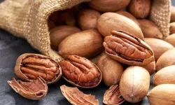 Pikan Cevizi Neden Bu Kadar Konuşuluyor? Faydası Çok... Ama Ne Kadar Yemek Gerekir?