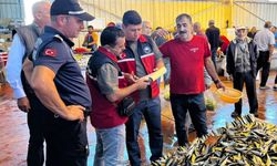 Balıkesir'de Balıkçı Gemileri ve Satış Noktalarında Denetim: Ekipler Tek Tek Kontrol Ediyor!