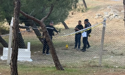 Balıkesir'deki Gizemli Mezarın Sırrı Çözüldü! Bebek Mezarı Sanılmıştı! Gerçek Açılınca Ortaya Çıktı