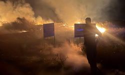 Edremit'te Gece Saatlerinde Korkutan Yangın! Sazlık Alan Alevlere Teslim Oldu