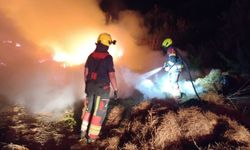 Ayvalık'ta Yol Kenarından Alevler Yükseldi! İtfaiye Söndürdü