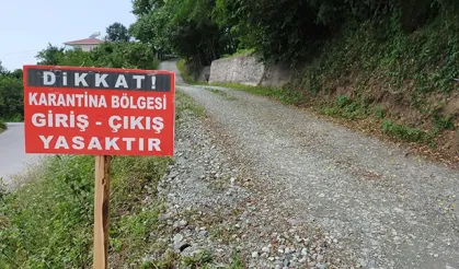 İvrindi'de Şok Karantina Kararı! Şap Hastalığı Görüldü... Hayvan Pazarı Kapatıldı!