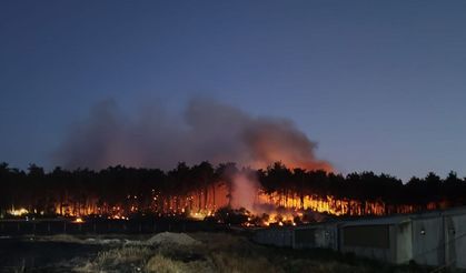 Balıkesir Savaştepe'deki Orman Yangınına İlişkin 2 Kişi Tutuklandı!