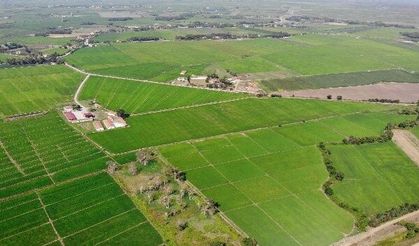 Balıkesir'deki Bu 3 Mahallede Tarlalar Baştan Düzenlenecek! İşte Yeni Tarım Projesi