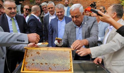 Kazdağları'nda Bal Hasat Şenliği başladı
