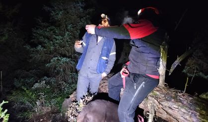 Mantar toplamaya gitmişti, ormanda kayboldu.. İşte son durum!