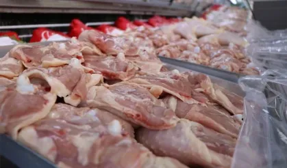 Tavuk fiyatlarına müdahale! Bakanlık ihracatı durdurdu