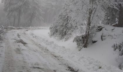 Kazdağları’nda Mart Sürprizi: Milli Park Beyaza Büründü! Kar Kalınlığı Yarım Metreyi Buldu