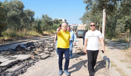 Burhaniye Pelitköy sahil yolunda asfalt mesaisi