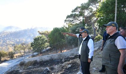 Balıkesir Valisi İsmail Ustaoğlu Açıkladı! Altınoluk ve Gömeç'te Kaç Hektar Alan Yandı? Yangınlarda Son Durum Ne?