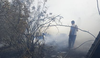 Susurluk’ta Korkutan Yangın: Eski Askeriye Mevkiinde Alevler Yükseldi! Tam 85 Arı Kovanı Kül Oldu!