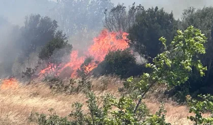 Balıkesir'de Korkutan Orman Yangını! Uçak ve Helikopterler Havadan Müdahale Ediyor!