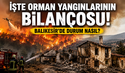 İşte orman yangınlarının bilançosu! Balıkesir'de durum nasıl?