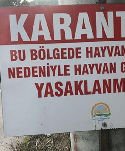 Kurban Bayramı Öncesi Şok! Balıkesir Gönen'de Şap Hastalığı Alarmı: 15 Mahalle Karantinaya Alındı!