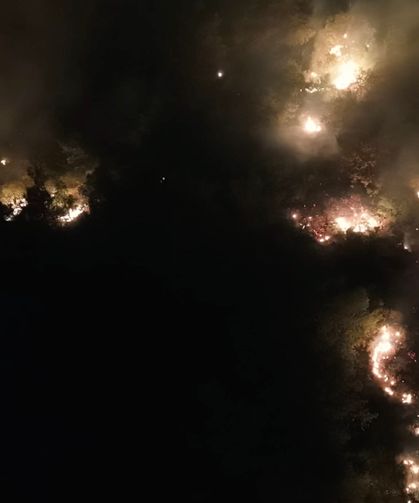 Hatay Hassa’da Orman Yangını: Alevlerle Karadan Yoğun Mücadele Sürüyor!