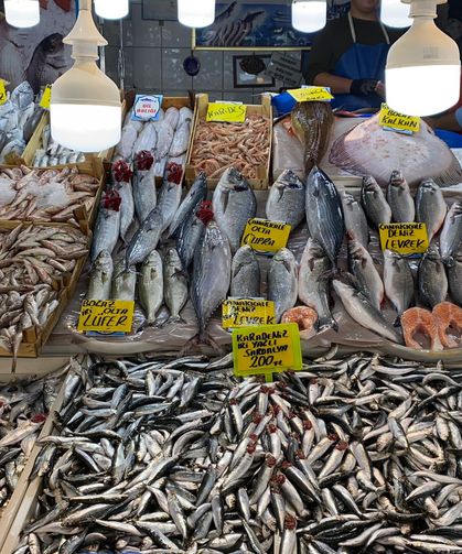 Balıkesir’de Balık Tezgahları Şenlendi: Fiyatlar Sabit, Çeşit Bol!