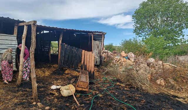Balıkesir’de Şok Yangın: Ahır Kül Oldu, Hayvanlar Telef Oldu!