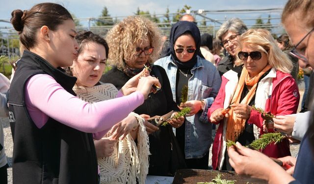 BAÇEM'de Eğitime Devam: 85 Kursiyer Sertifika Aldı