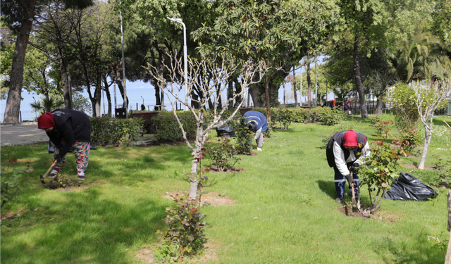 Burhaniye Yaz Sezonuna Hazır! Plajlardan Parklara Kapsamlı Temizlik ve Bakım Çalışmaları