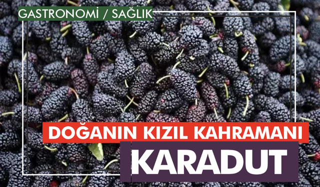 Doğanın Kızıl Kahramanı: Karadut!