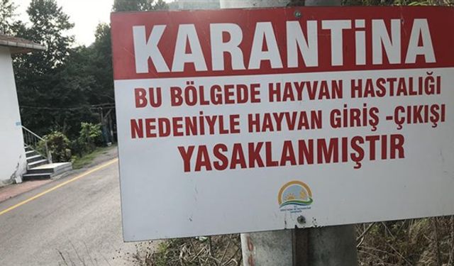 Kurban Bayramı Öncesi Şok! Balıkesir Gönen'de Şap Hastalığı Alarmı: 15 Mahalle Karantinaya Alındı!