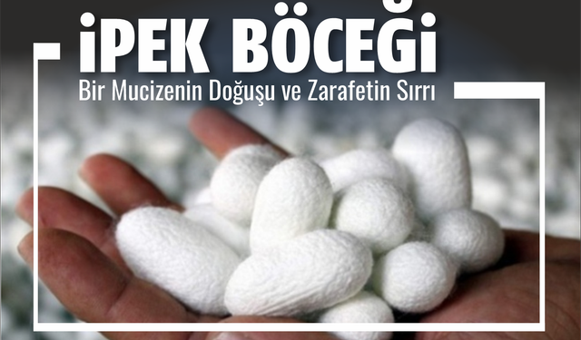 İpek Böceği: Bir Mucizenin Doğuşu ve Zarafetin Sırrı
