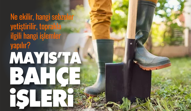 Mayıs Ayında Bahçe İşleri